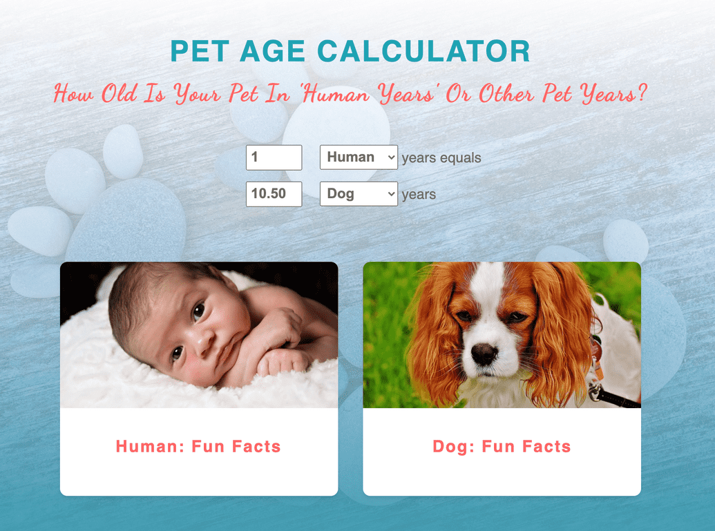 Pet Age Calculator App